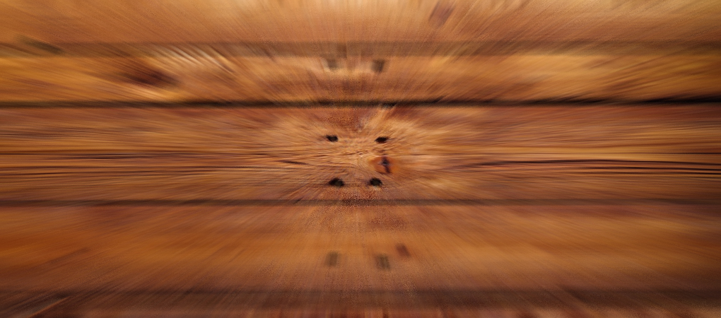 Slide background